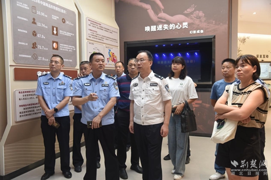 观看案例.jpg