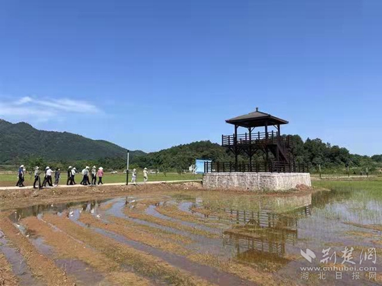 微信图片_20230702114116.jpg