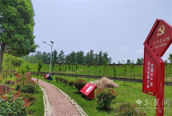 新开镇党建长廊(1).jpg