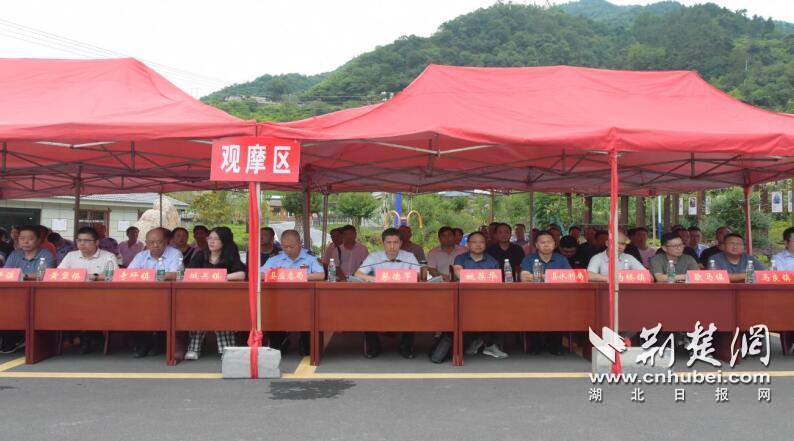QQ截图20230721160334.jpg