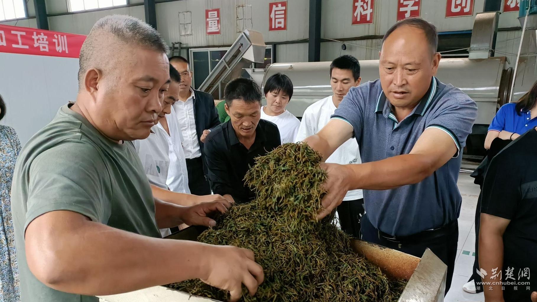 b60f027f7bd51a6b0aff3615f7b6b241_1817X1022_20230827201208