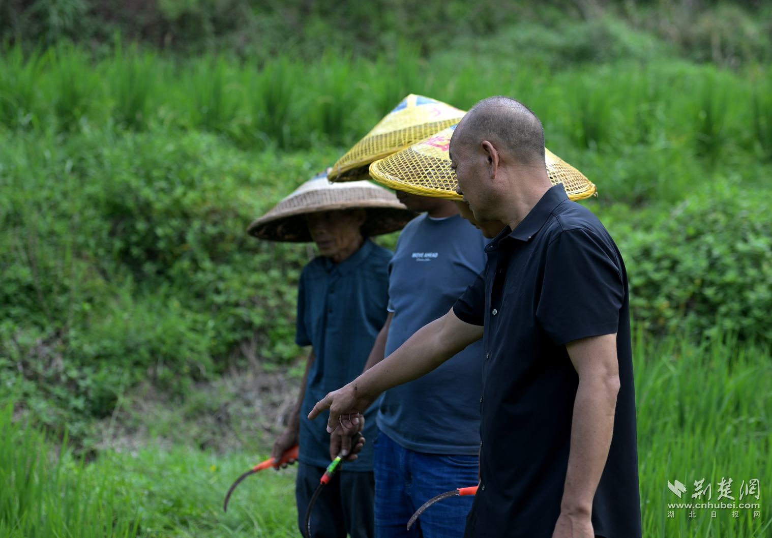 0e20ded4c2d14d57aa1566537bf4eb71_1518X1058_20230818174417