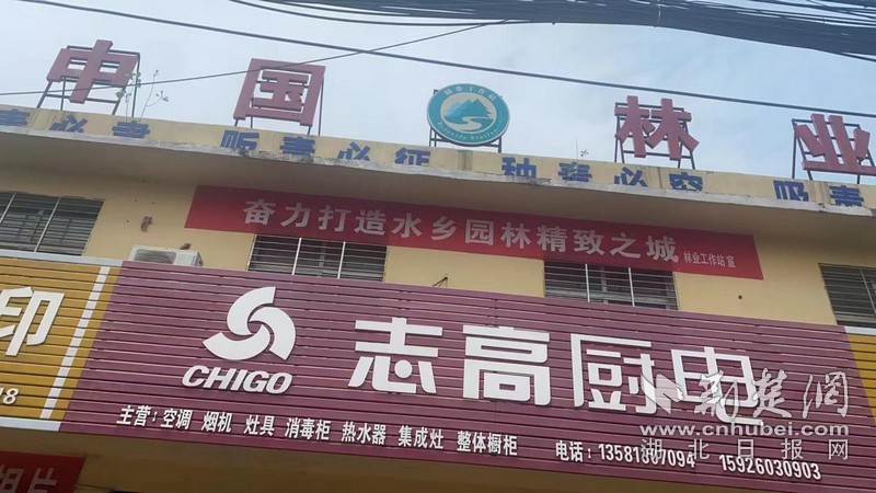 图片 2.jpg