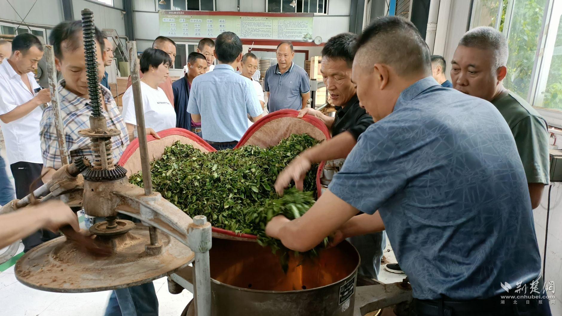 2cfd4e9d9d7dfb43985709fc3a91ed29_1881X1058_20230827201035