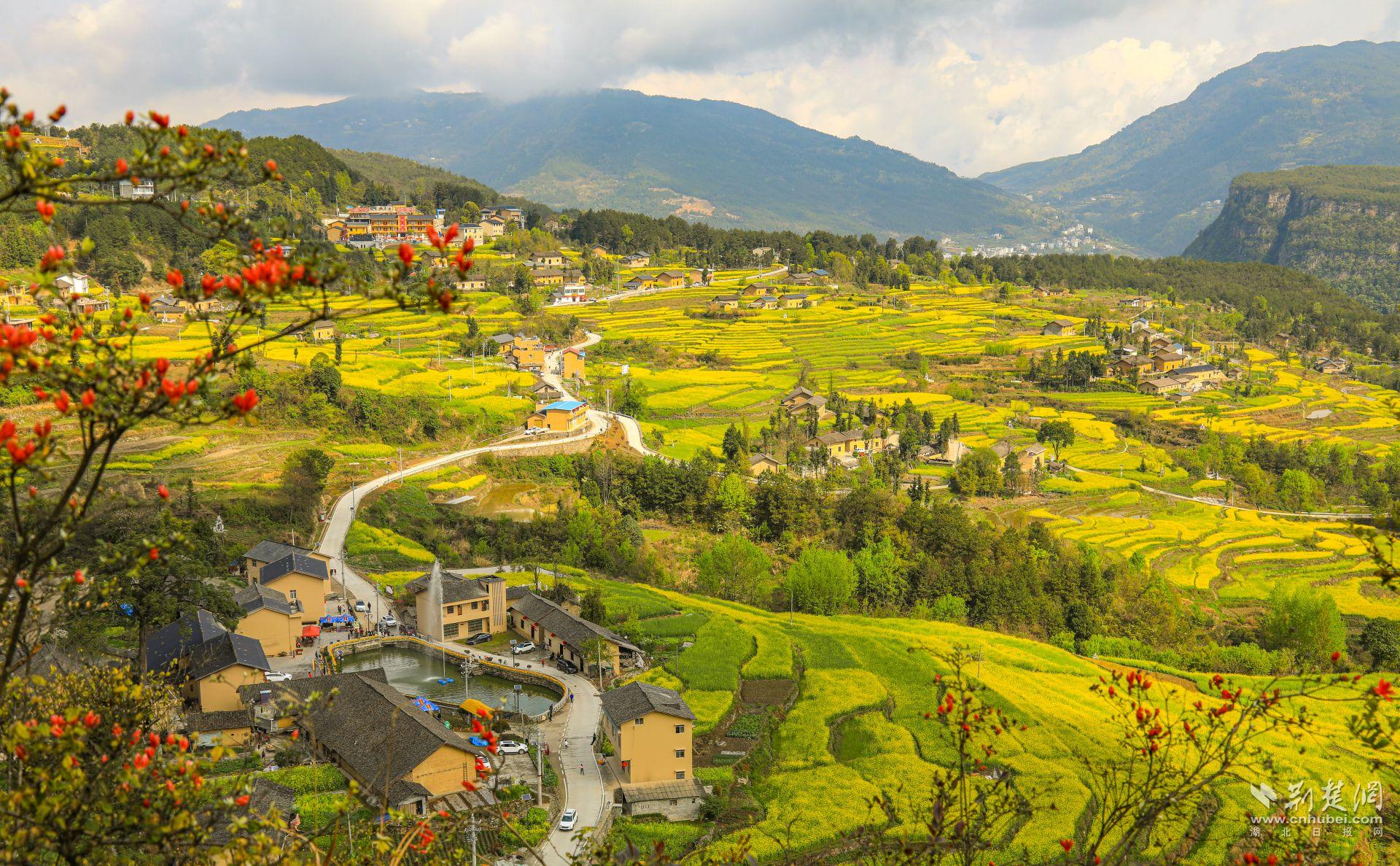 牛洞坪村 邓正赋摄 (1).JPG.JPG