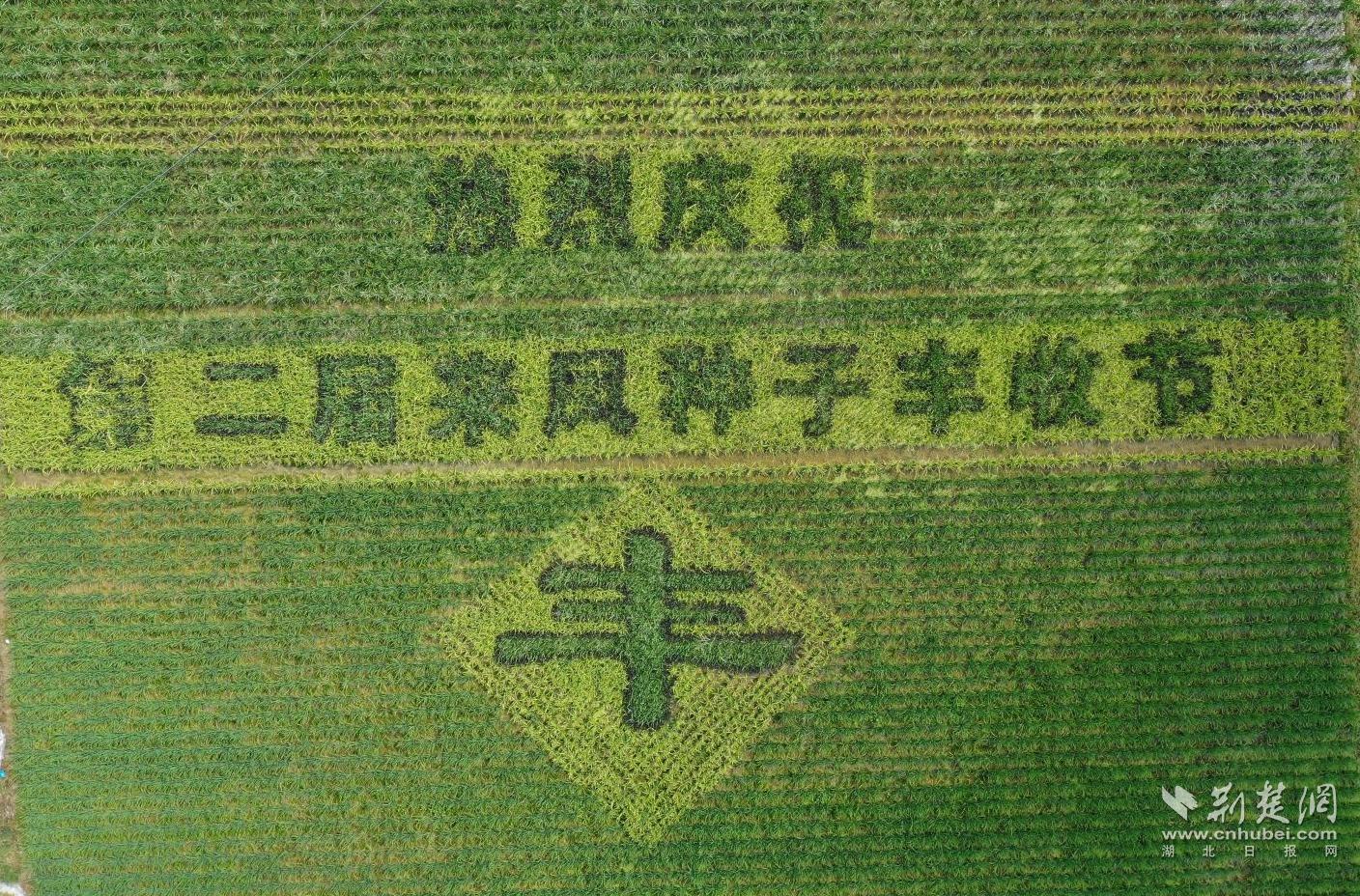 08d81d4dd69f23db76ae654331a7a9f1_1408X928_20230818180246