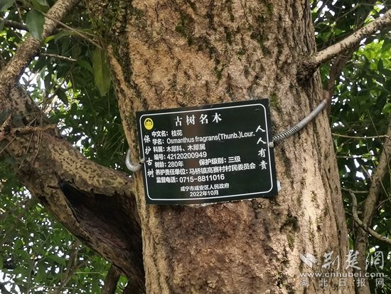 微信图片_20230818213345_副本.jpg.jpg