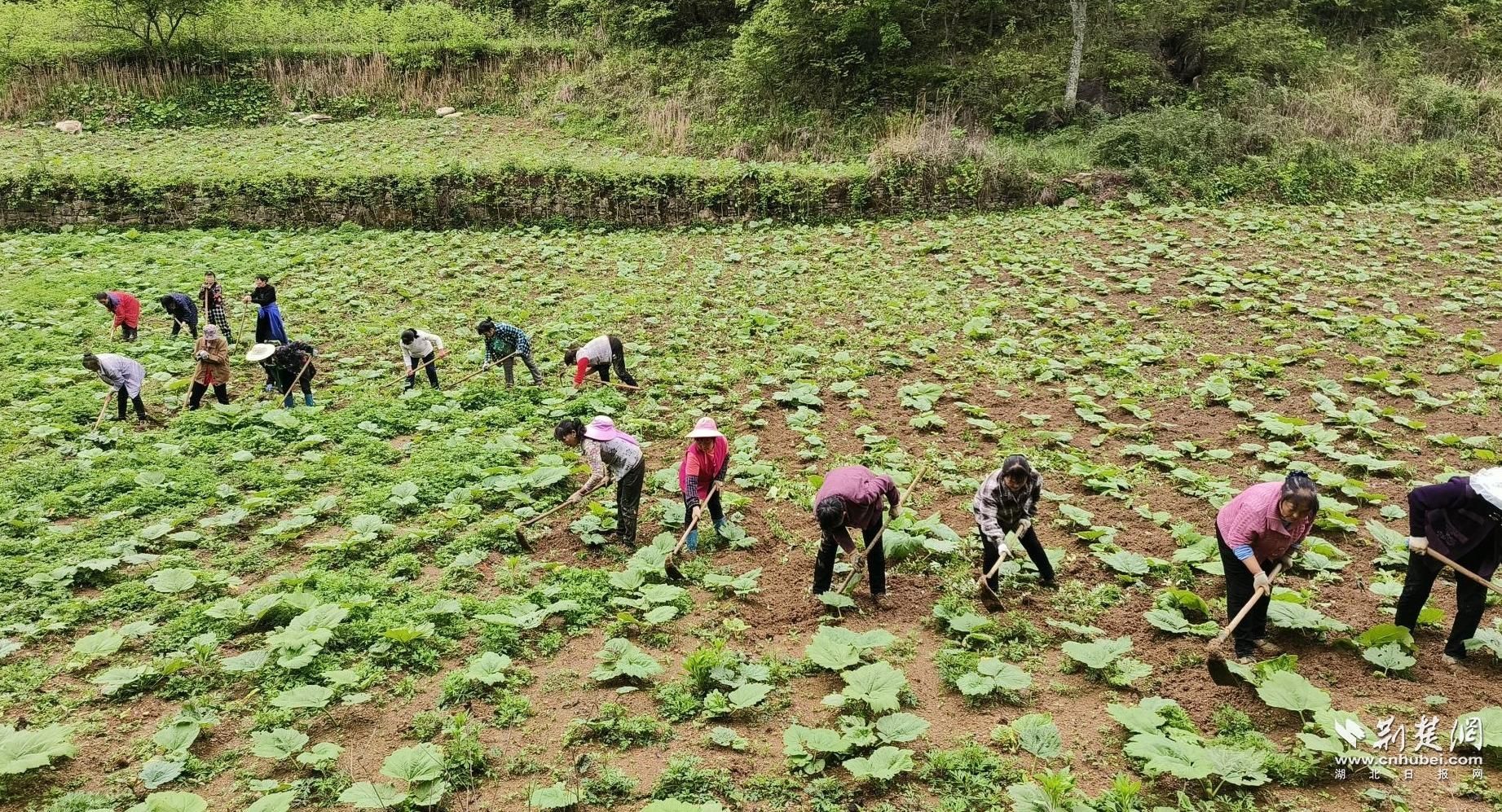 e2f97e43abe01994e4618ab78ceaafa7_1843X997_20230807162939