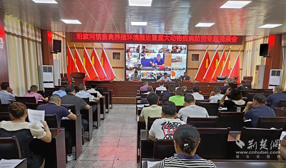 d0b2ec5b08c3e09df9184849f6e7d1b8_1170X687_20230907190757