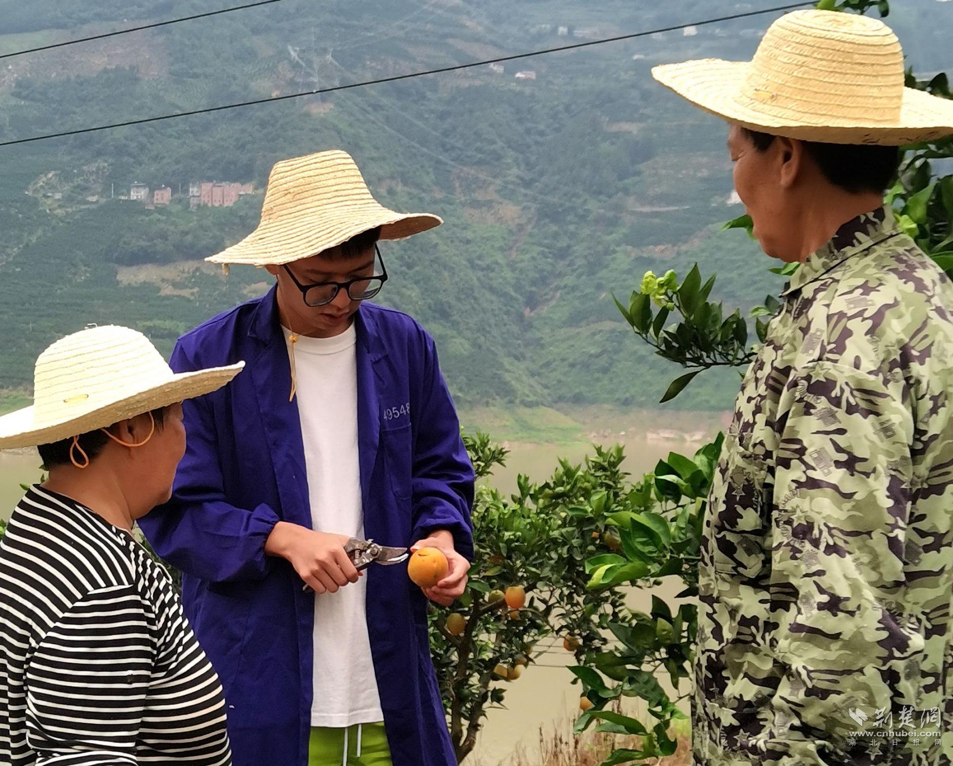 bfe8ef48b7b803ef8a81ee608e12faf3_1881X1512_20230928223446