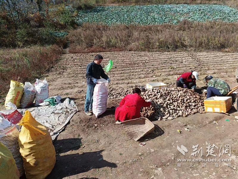 微信图片_20230905105921_1.jpg.jpg