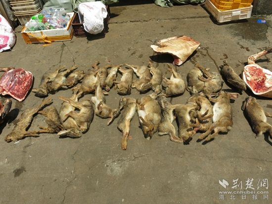 图片10_副本.jpg.jpg