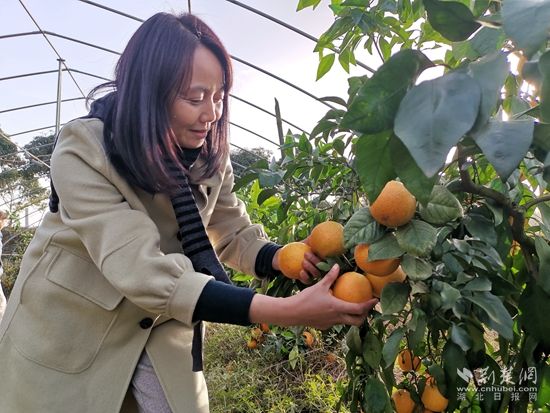 微信图片_20231119215446.jpg.jpg