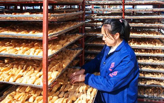 图片1_副本.png.png