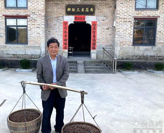 何道关与自己种的油茶果。黄铮 摄_副本.jpg.jpg