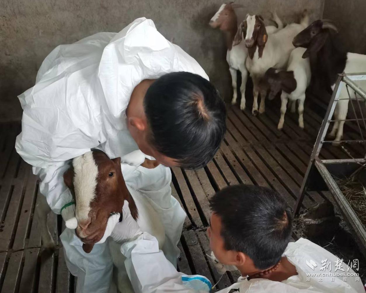 312d1c4e860694fd749e3bd77acc3056_1254X1002_20231101204401