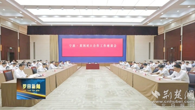 罗田县与宁波及长三角区域签约代表性项目.jpg