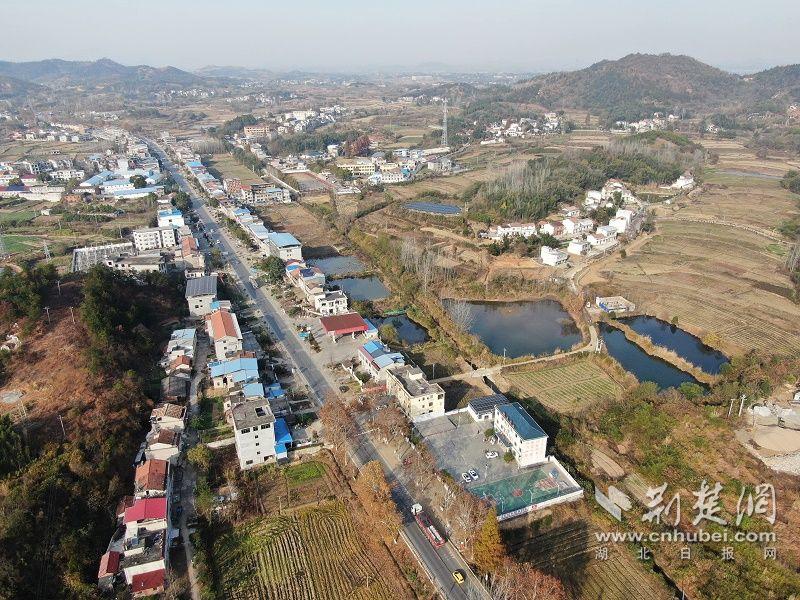 微信图片_20231204155746.jpg.jpg