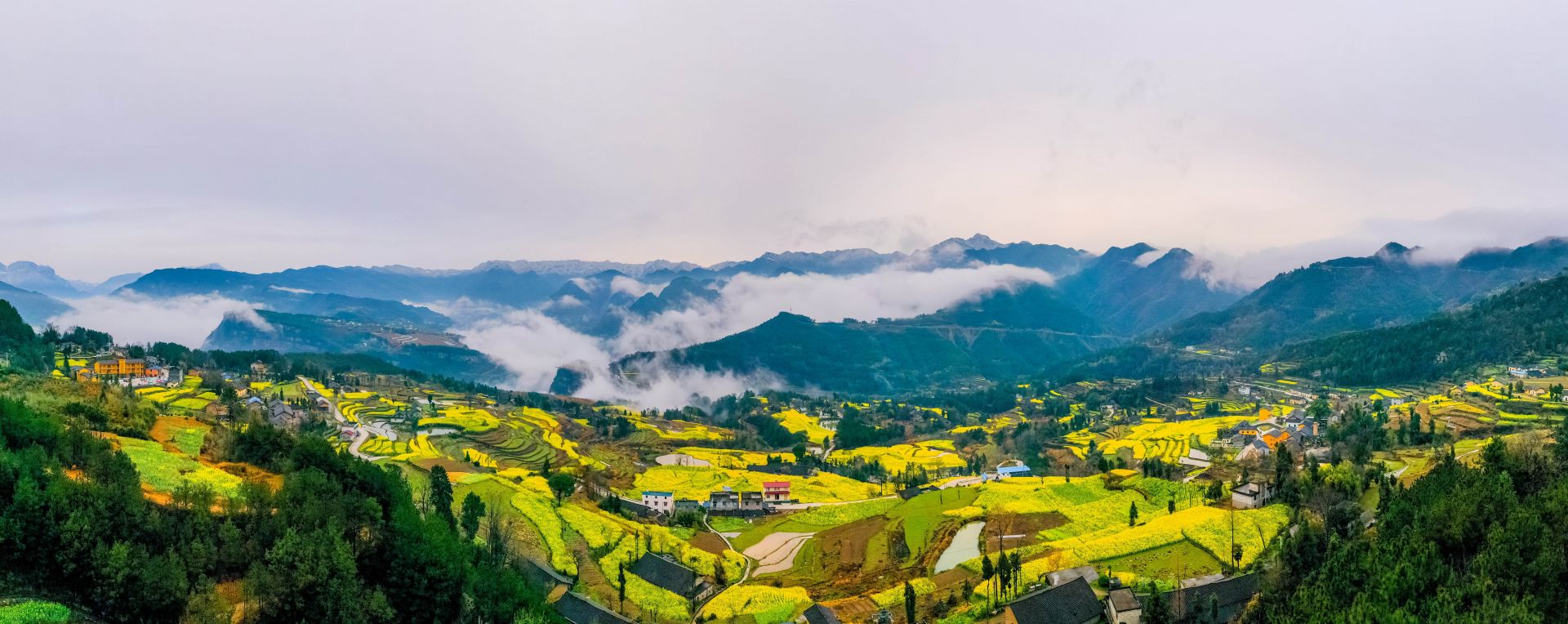 牛洞坪村 谭德魁 摄.jpg.jpg