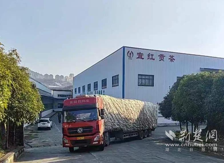 c0c9a2b85ef6a14e792117a206047868_784X570_20240122165416