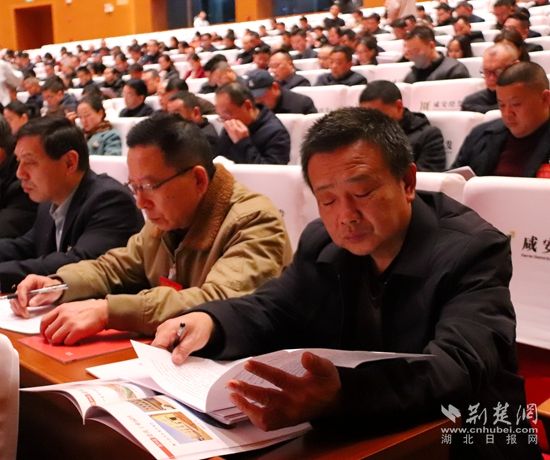 审阅报告.jpg.jpg