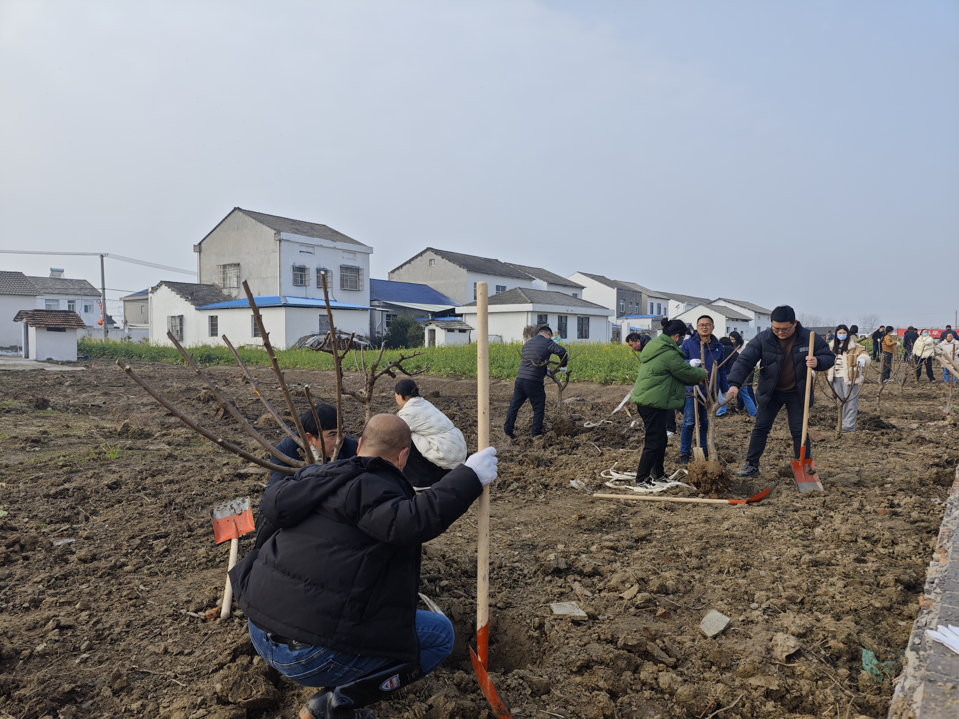 gogo体育潜江市泰丰街道：水乡园林添新绿共同缔造美家园(图2)