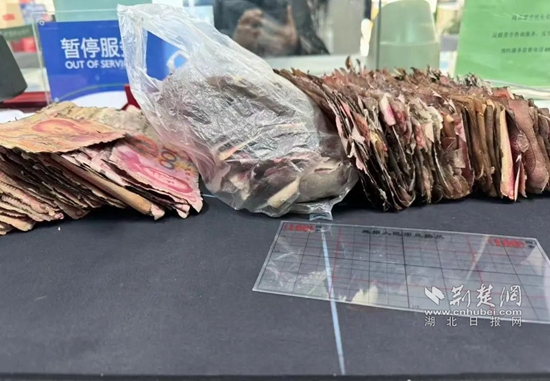微信图片_20240321105404.jpg
