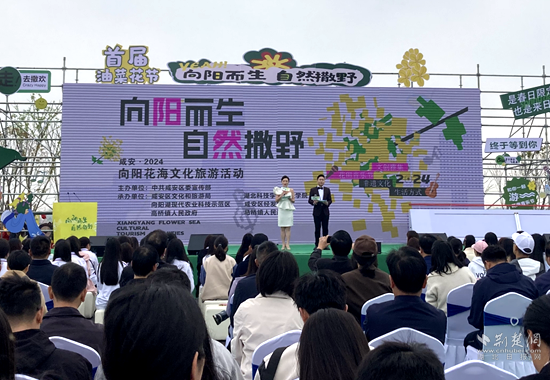4月3日奶牛场油菜花海文旅活动_副本.png.png