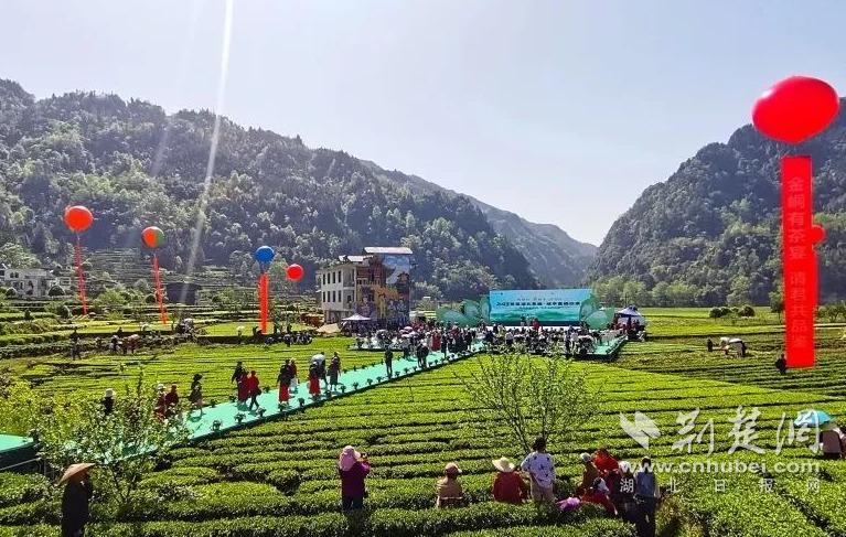 fb8ebce5885f091746555d28e3118188_767X487_20240403113858