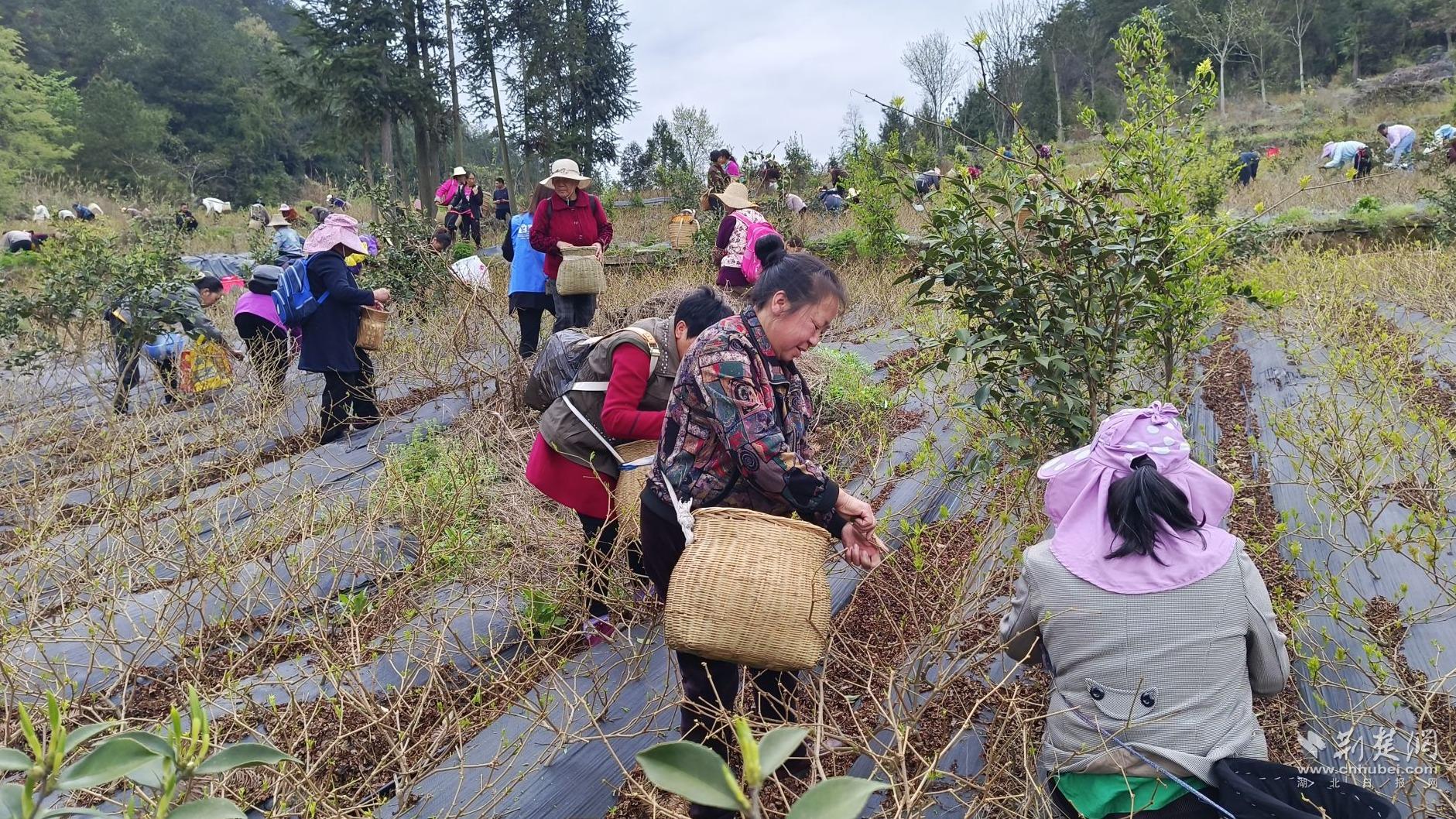 c44a28b8aa9318fed66c056228208d19_1881X1058_20240402161450