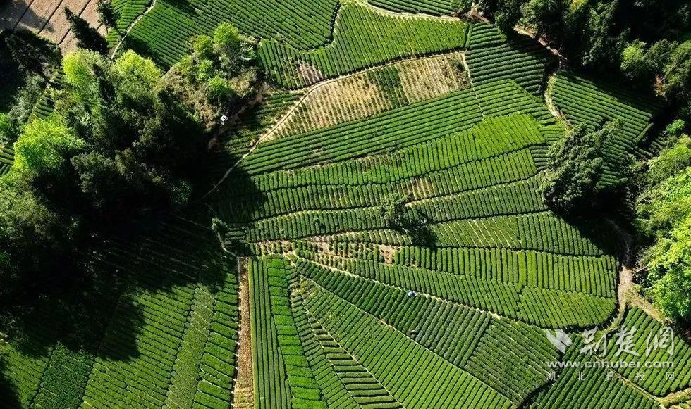 08954270645bbeef7c345bddc3046808_980X581_20240403113122