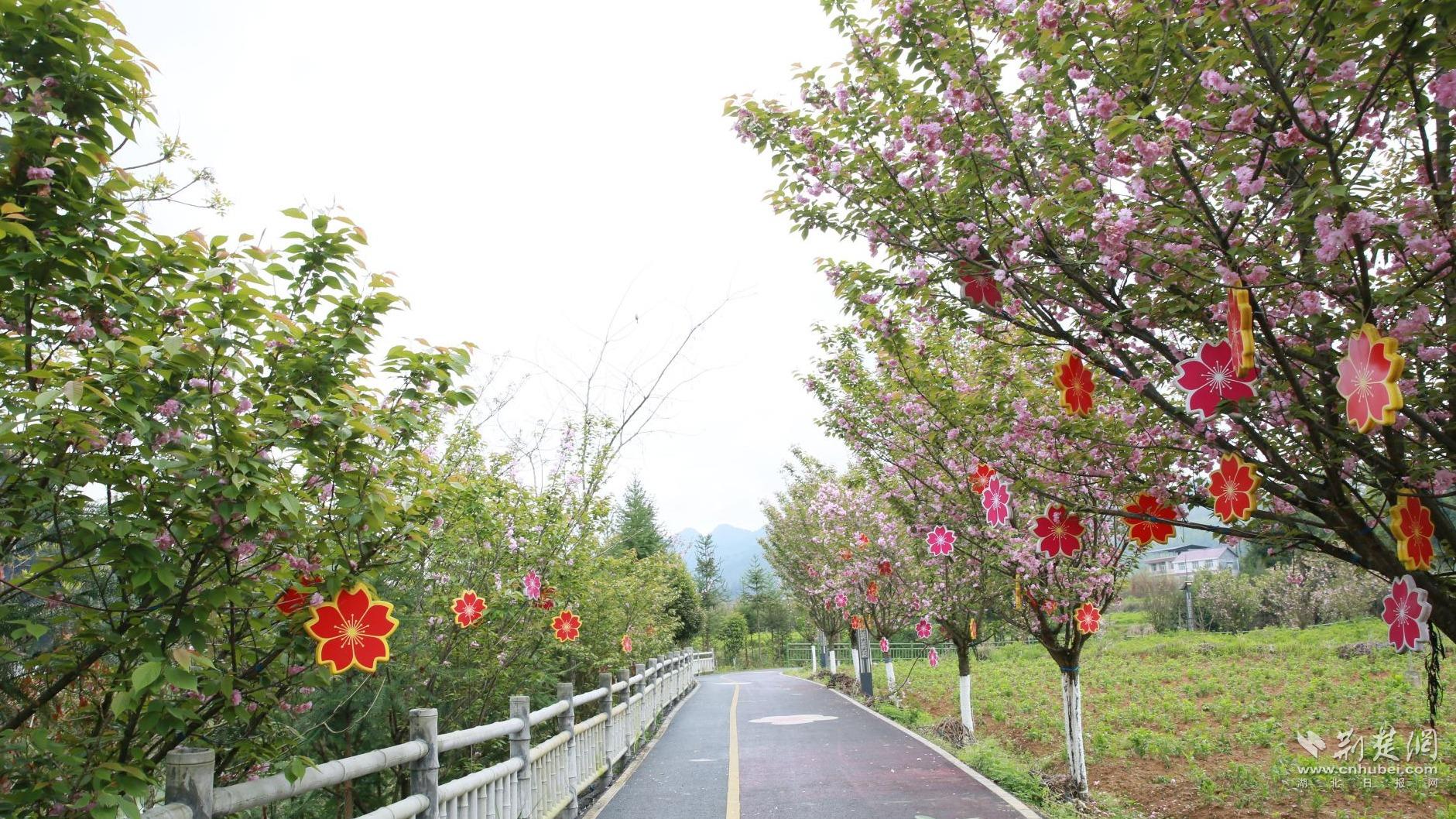 04ae3dd4f473e3d46cc7cee50a9a21d3_1881X1058_20240409155441