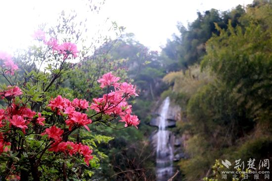 黄龙山顶，风景如画 黄铮 摄_副本.jpg.jpg