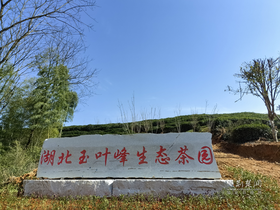 图片6.png.png