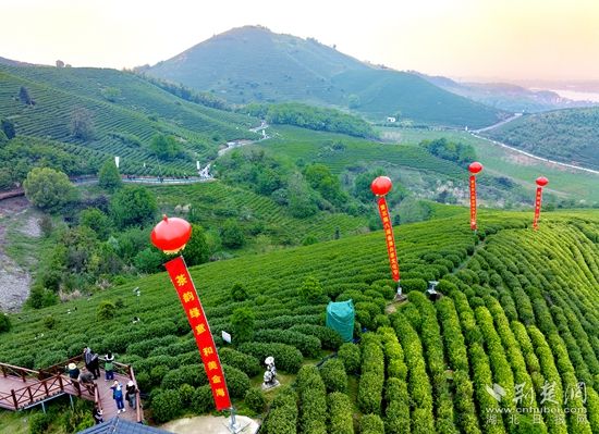 微信图片_20240411180734_副本.jpg.jpg