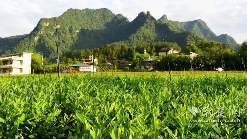 5c3f7dae08ad33ee0ee11698503036ab_863X485_20240403113431