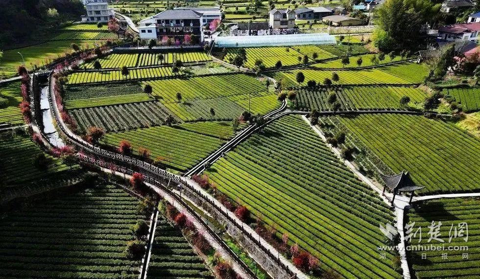 8c3884041de6fb032364ed51b60e571c_980X571_20240403113212