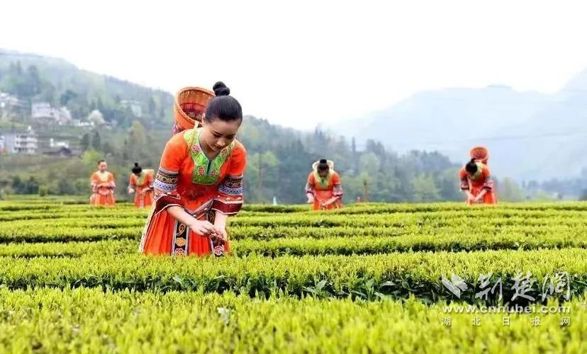 9cac6959ca91d9d462ac5d4a9ca7f87b_828X500_20240403113927