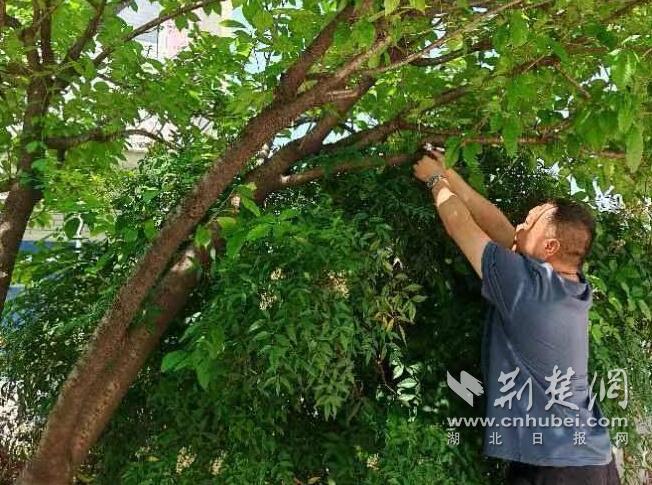 QQ截图20240522171401.jpg
