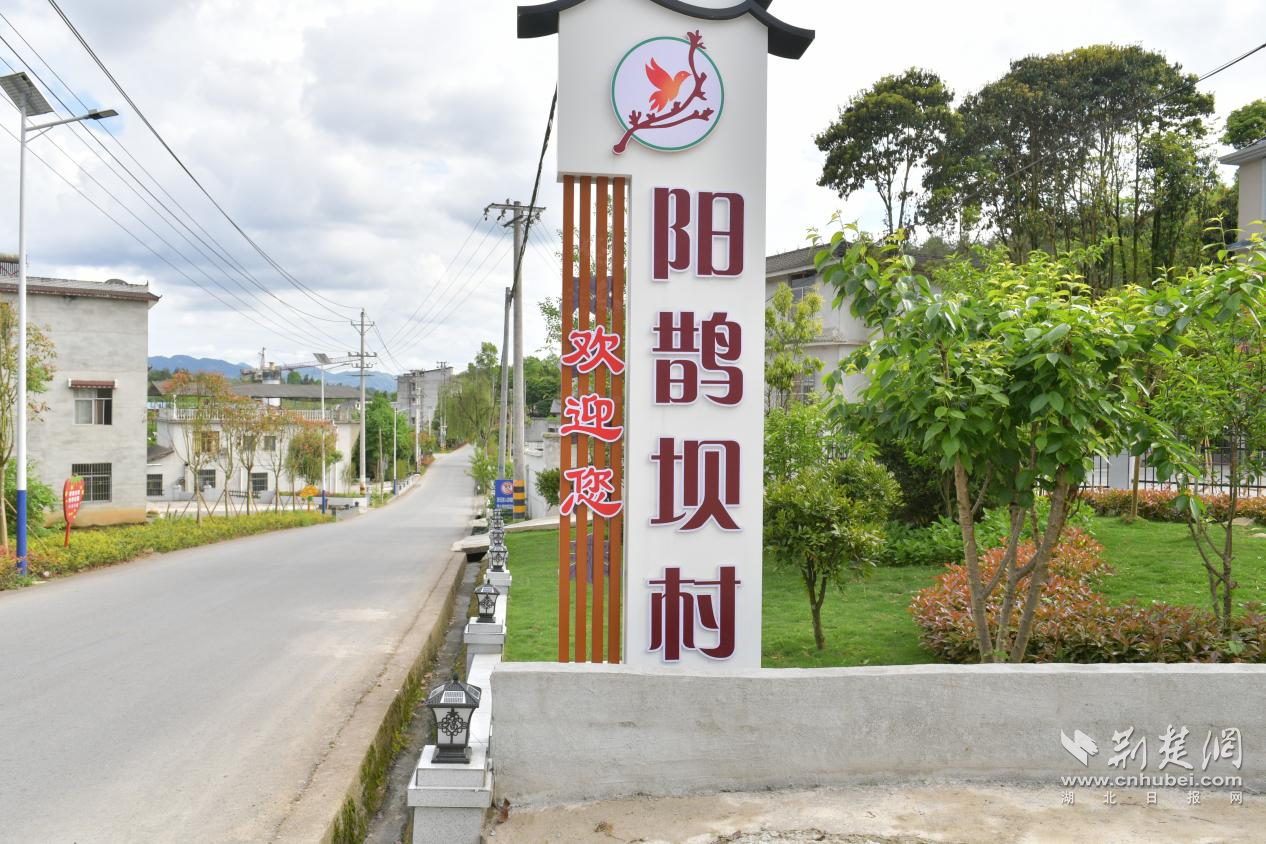 “钟灵毓秀、诗意阳鹊”一角.png.png
