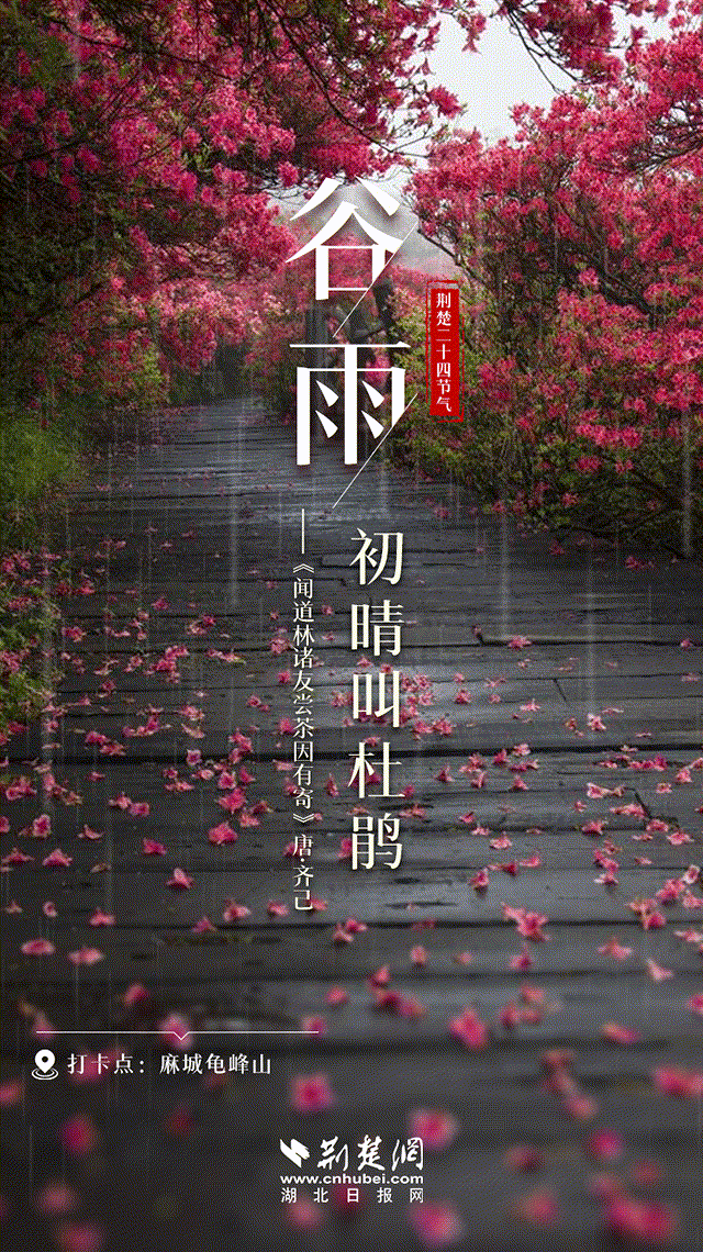 谷雨动画640~1.gif