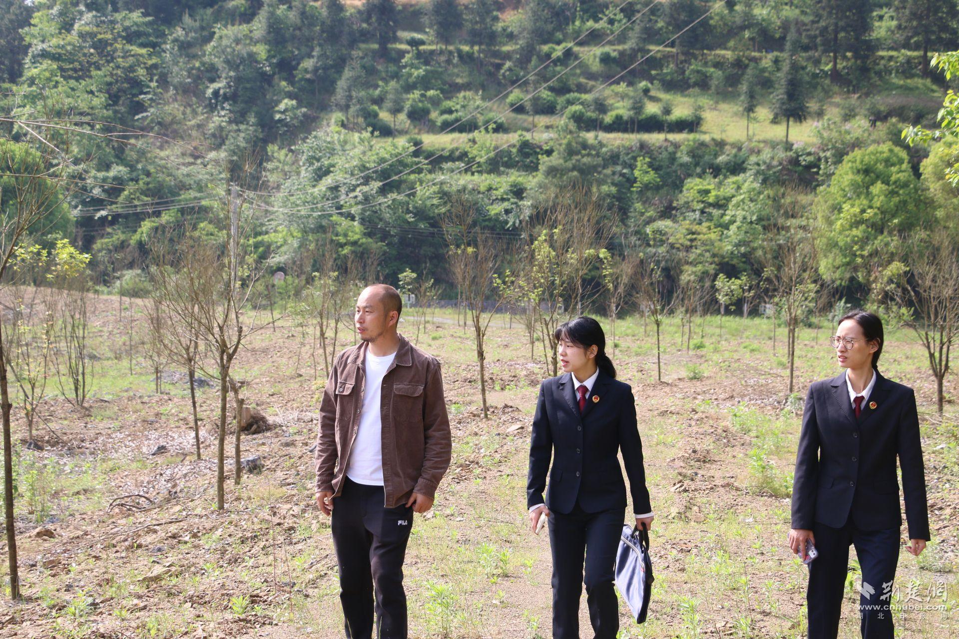 5月14日，检察官前往“沙子坡”弃土场查看补植复绿成活情况。.jpg.jpg