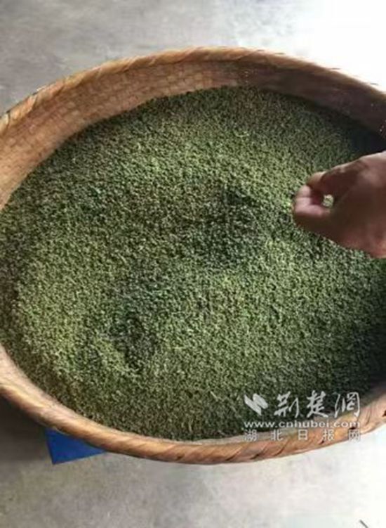 微信图片_20240630154443.jpg.jpg
