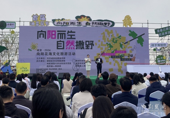 4月3日奶牛场油菜花海文旅活动.jpg