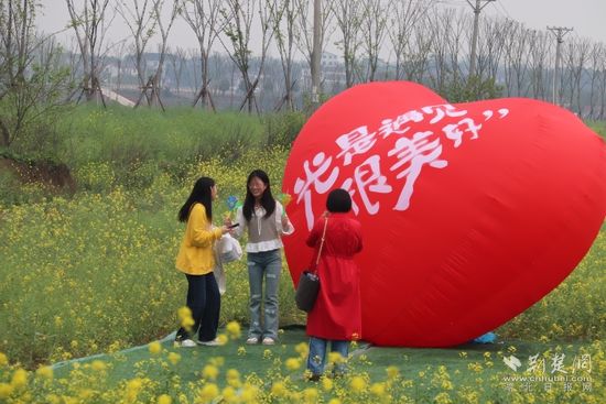 4月3日奶牛场油菜花海文旅活动 (3).jpg.jpg