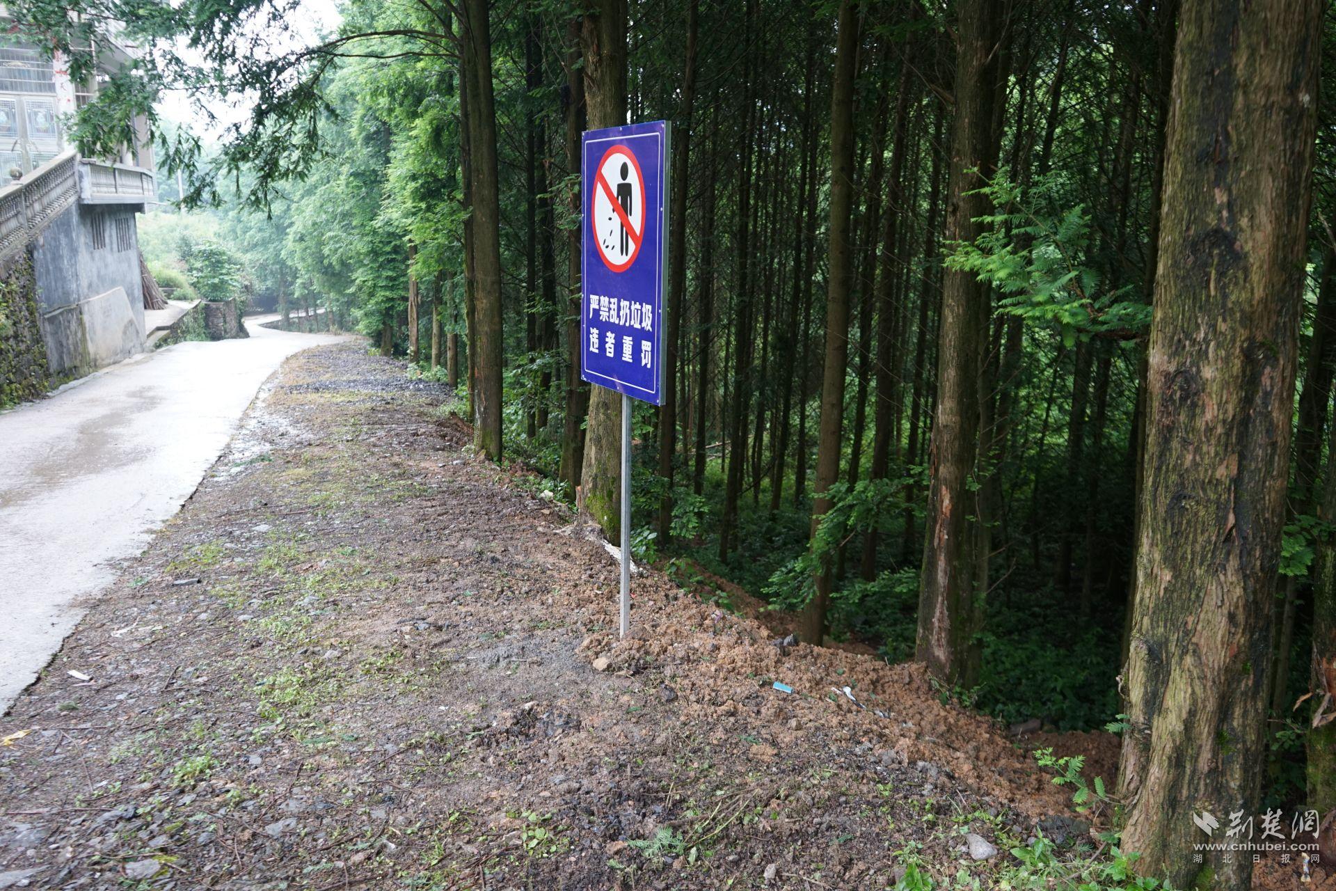 部分农村公路沿线垃圾污染整改后，生活垃圾已被清理干净，并设置了“警示牌”。.jpg.jpg