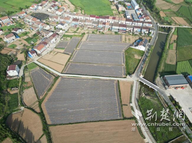 QQ截图20240704105243.jpg