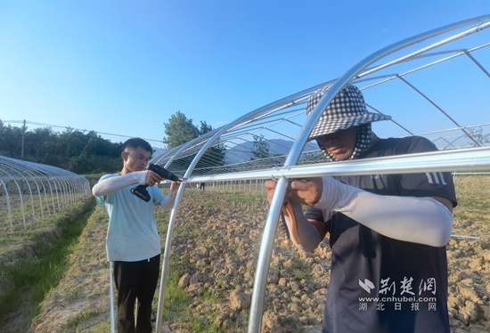 微信图片_20240724183441.jpg