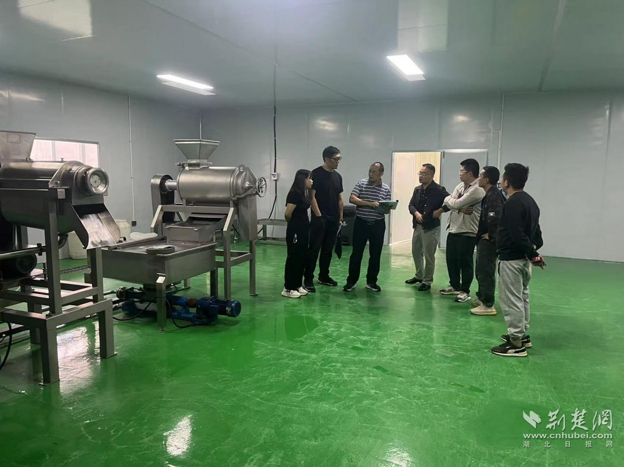 审计人员查看李家河镇白柚深加工车间建设项目.png.png