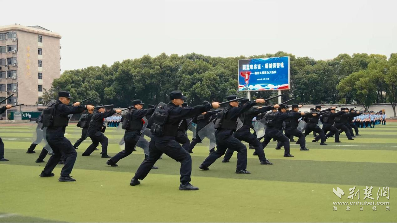 圖片 11.png.png